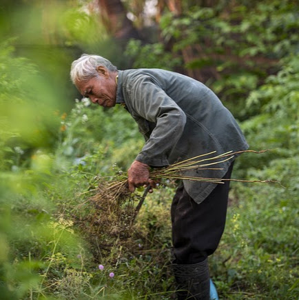 農業従事者の高齢化